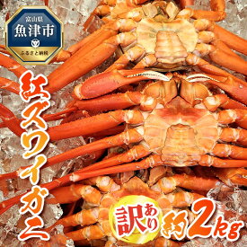 【ふるさと納税】訳あり カニ 魚卸問屋のベニズワイガニ 約2kg 蟹 かに 紅ズワイガニ はりたや【 わけあり 】｜カニ ずわいがに ずわい蟹 訳アリ かにしゃぶ カニしゃぶ 国産 ボイル ※2025年9月下旬～2026年5月下旬頃に順次発送予定※北海道・沖縄・離島への配送不可