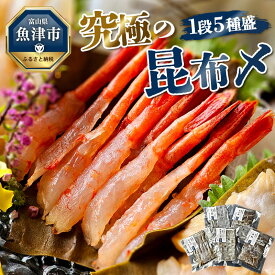 【ふるさと納税】究極の昆布〆、1段5種盛（急速冷凍品）魚卸問屋はりたや 富山県魚津市 昆布締め こぶじめ 刺身 天然昆布　【 魚貝類 つまみ 一品料理 肴 お酒のあて 自家製昆布〆 鮮度 最高級昆布使用】