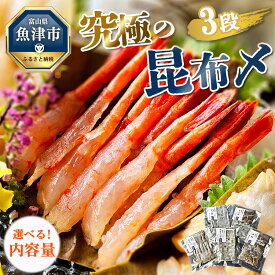 【ふるさと納税】＼選べる内容量／ 究極の昆布〆 3段 3～5種盛（急速冷凍品）｜昆布〆 刺身 刺し身 盛り合わせ 刺身盛り合わせ 詰め合わせ 北陸 富山 海鮮 国産 高級 ばい貝 アオリイカ ひらめ 車鯛 甘エビ 甘えび 甘海老 魚介 魚介類 魚 肴※北海道・沖縄・離島への配送不可