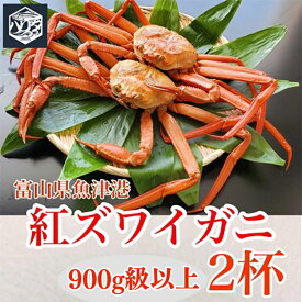 【ふるさと納税】【冷蔵・ボイル済】魚卸問屋のベニズワイガニ 900g級以上×2杯｜蟹 かに カニ ずわいがに ずわい蟹 蟹みそ かにしゃぶ カニしゃぶ 国産 ボイル かに鍋 カニ鍋 蟹鍋 富山県産※2025年9月下旬～2026年5月下旬頃に順次発送予定※北海道・沖縄・離島への配送不可