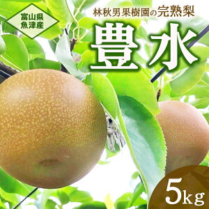yӂ邳Ɣ[Łzy\zÁFяHjʎ̊nuLv5kgbt[c Ȃ xRÎs@kCEEւ̔zs@2025N9{菇\