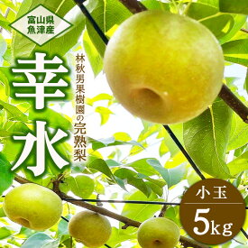 【ふるさと納税】【早期予約】【小玉】林秋男果樹園の完熟梨「幸水」5kg｜フルーツ なし 富山県魚津市　※北海道・沖縄・離島への配送不可　※2025年8月中旬頃より順次発送予定