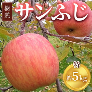 yӂ邳Ɣ[Łzy\z ς nTӂ 5kgbӂ ÎsY xR S ь  ʕ t[c fU[g Yn xR kCEEւ̔z