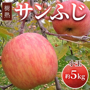 yӂ邳Ɣ[Łzy\z ς nTӂ 5kgbӂ ÎsY xR S ь  ʕ t[c fU[g Yn xR kCEEւ̔z
