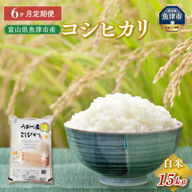 【ふるさと納税】15kg（5kg3袋）×6ヶ月定期便　富山県うおづ産米コシヒカリ 白米 富山米　【定期便・お米・コシヒカリ】