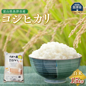 【ふるさと納税】米 コシヒカリ 15kg (5kg×3袋) 富山 魚津産 こめ コメ お米 おこめ 白米 精米　【 こしひかり 】