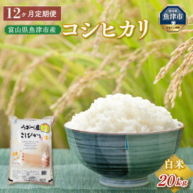 【ふるさと納税】定期便 米 20kg (5kg×4袋) 12ヶ月 コシヒカリ 富山 魚津産 こめ コメ お米 おこめ 白米 精米 12回 お楽しみ　【定期便・ こしひかり 】