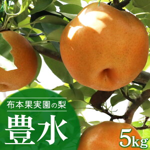 yӂ邳Ɣ[Łzy\zz{ʎ̗uLv5kgkCEEւ̔zs 2025N9{`9{菇\