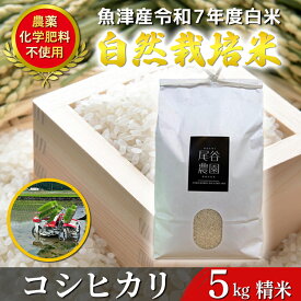【ふるさと納税】【令和7年度産米】尾谷農園 自然栽培米コシヒカリ 精米5kg ※北海道・沖縄・離島への配送不可