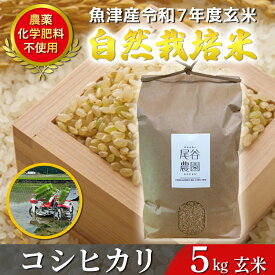 【ふるさと納税】【令和7年度産米】尾谷農園 自然栽培米コシヒカリ 玄米5kg ※北海道・沖縄・離島への配送不可