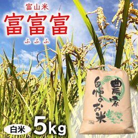 【ふるさと納税】【新米予約】農家直送「 富富富 」5kg（白米）｜富山米 ふふふ　※北海道・沖縄・離島への配送不可　※2024年9月下旬頃より順次発送予定