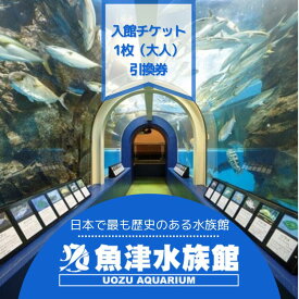 【ふるさと納税】魚津水族館 入館チケット1枚引換券/一般(高校生以上)※北海道・沖縄・離島への配送不可