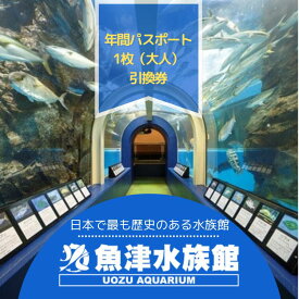 【ふるさと納税】魚津水族館 入館年間パスポート引換券/一般(高校生以上)※北海道・沖縄・離島への配送不可