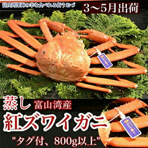 yӂ邳Ɣ[Łzy3-5oׁzgYCKj@1Ci800gȏj b 킢I 킢Kj YCKj 2026N3{`5{ɏ\ kCEEւ̔zs