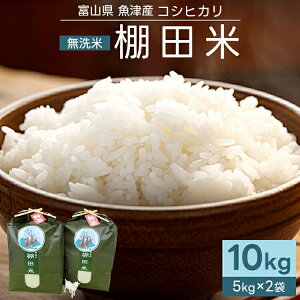 yӂ邳Ɣ[Łzy\z ߘa7NY RVqJ 10kg  Ic (5kg×2) M̓mbxR  R     V kCEEւ̔zs 2025N10