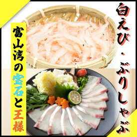 【ふるさと納税】 鮮度そのまま！『ぶり、白えび』生冷凍セット