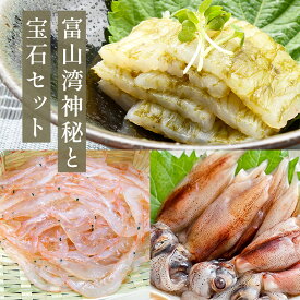 【ふるさと納税】 富山湾の神秘”ほたるいか”と富山湾の宝石”白エビ”セット〈冷凍〉