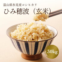楽天市場】富山 コシヒカリ 玄米 30kgの通販