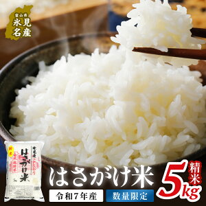 �y�ӂ邳�Ɣ[�Łz�s���ʌ���t�ߘa7�N�Y �͂������� ����5kg �x�R�� �X���s �� �R�V�q�J�� �����Ђ���