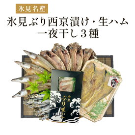 【ふるさと納税】〈日本海氷見の幸5種〉 氷見ぶり「西京漬け」「生ハム」 一夜干し「氷見産3種」氷見のお魚5種味わいセット！ 魚貝類 加工食品 魚介類 干物 西京漬け 鰤ハム 一夜干し イワシ カマス アジ 富山湾 氷見