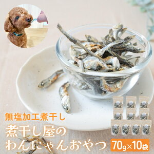 �y�ӂ邳�Ɣ[�Łz�������H�ϊ��� �ϊ������̂��ɂ�񂨂�� 70g×1��-10�� ���� �ϊ��� �� �y�b�g�t�[�h �l�Ԃ��� �� �L �x�R�� �X���s