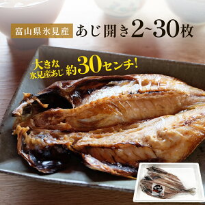 【ふるさと納税】氷見産あじ開き 2~30枚 約30センチ!富山湾海の幸 〈冷凍〉