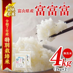 yӂ邳Ɣ[Łz qʍ͔|ārߘa7NY xRY "xxx" 2kg×2 2025N9{ȍ~ bӂӂ xxx    X xR  Y ʍ͔| 4kg GRt@[}[ ʌ 
