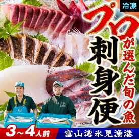 【ふるさと納税】《魚問屋直送》 氷見漁港で競り落としたお刺身詰め合わせセット 〈冷凍〉| 盛り合わせ 刺身セット サク 氷見漁港 柵 冷凍 瞬間凍結 切るだけ 国産 簡単調理 真空パック 富山 氷見