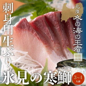 【ふるさと納税】 【先行予約】 【魚問屋直送】天然「生ひみ寒ぶり」刺身用 約400g〜800g ｜　富山湾 氷見 氷見漁港 能登 寒ブリ 天然鰤 サク 処理 松本魚問屋 天然 鮮魚 ブリ 産地直送 切り身 サシミ 期間限定
