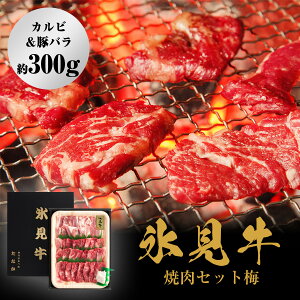 yӂ邳Ɣ[Łz Iׂ XēZbg~iJr؃o300gj xR Xs   ؓ ē BBQ Zbg