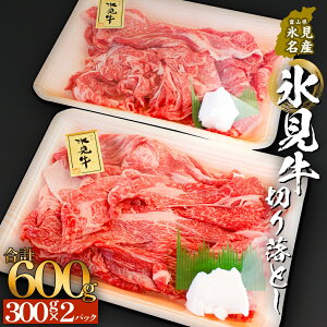 yӂ邳Ɣ[ŁzX؂藎Ƃ 300g × 2pbN v600g  јa  xR Xs