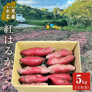 【ふるさと納税】 <先行予約> 富山県産 さつまいも 5kg <2025年12月以降順次発送> 富山県 氷見市 サツマイモ 自然豊か しっとり ねっとり