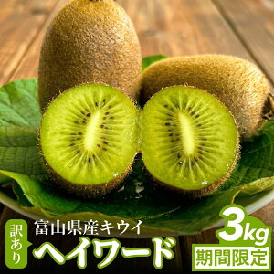 yӂ邳Ɣ[Łz s\ 󂠂wC[h3kgiʁAٌ`AC菝AĂj2025N12{ȍ~ ʌ  Y Â XLECh xR Xs