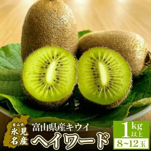 yӂ邳Ɣ[Łz s\ xRYLECiwC[hj1kgȏi8`12ʁj 2025N12{ȍ~ | Y ʌ O[LEC xR X ʕ t[c LEC