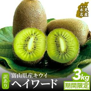 yӂ邳Ɣ[Łz s\ 󂠂wC[h3kgiʁAٌ`AC菝AĂj2025N12{ȍ~ ʌ  Y Â XLECh xR Xs