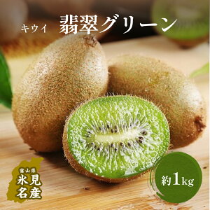 キウイ グリーンの人気商品 通販 価格比較 価格 Com