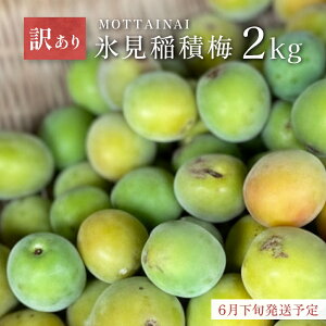 �y�ӂ邳�Ɣ[�Łz�y�󂠂�z�y��s�\��zMOTTAINAI �X����ϔ~ 2kg ��2026�N6�����{�����\�聄 |�@�x�R�� �X���s �Œ�� ��ϔ~ �~ ���� �ʎ� ���V�s �~ �ʕ� ��A�� ���n�~ �~�V���b�v �~�W