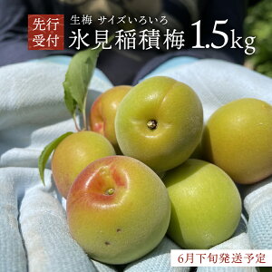 �y�ӂ邳�Ɣ[�Łz�y��s��t�z�X����ϔ~ ���~ �~MIX �T�C�Y���낢�� ��2026�N6�����{�����\�聄 �x�R�� �X���s �~ �~ ���� ���� �~�����@�~���@�~�V���b�v�@�~���Â���@�~�d��