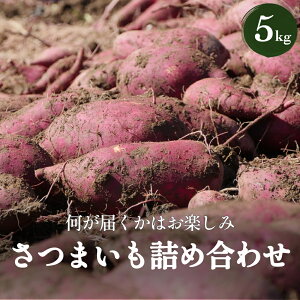 yӂ邳Ɣ[Łz܂lߍ킹5kgi3`͂͂y݁j xR Xs ܂ Tc}C lߍ킹