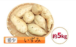 yӂ邳Ɣ[Łz xRY܂  5kg xR Xs  Tc}C ܂