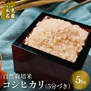 yӂ邳Ɣ[Łzߘa7NY xRY R͔| RVqJ5kgi5Âj xR Xs R͔| Ђ 5t