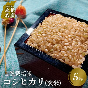 yӂ邳Ɣ[Łzāߘa7NYxRYR͔|ăRVqJ5kg xR Xs R͔| Ђ 