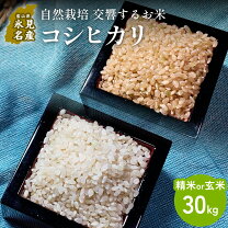 楽天市場】自然栽培 米 30kgの通販
