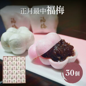 yӂ邳Ɣ[Łzَq܂̎Œ ~ 30 xR Xs ~ Œ aَq N  َq