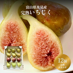 yӂ邳Ɣ[Łz܂ȂJʎ̂ 12 |  ԉ C`WN ʕ t[c VN Hה n Y _ƒ { ̂ꂽ  Ԍ xR X 