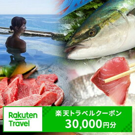 【ふるさと納税】富山県氷見市の対象施設で使える　楽天トラベルクーポン　寄付額100,000円(クーポン30,000円) |　氷見 富山 宿泊 温泉 ホテル 民宿