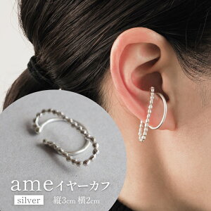 yӂ邳Ɣ[Łzame C[Jt(silver) xR Xs ANZT[ nhCh 