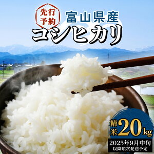 yӂ邳Ɣ[Łz s\񁄕xRY RVqJ 5-20kg  2025N9{ȍ~\聄 xR Xs  RVqJ