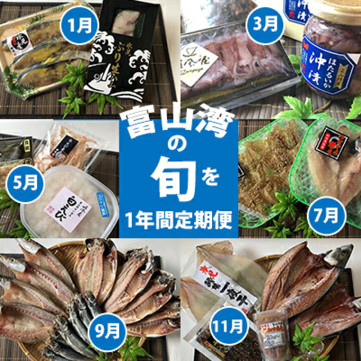 楽天市場 ふるさと納税 1年間定期便 富山湾の旬を食す 氷見ぶり 白えび ほたるいか のどぐろ など19種 奇数月6回お届け 定期便 魚貝類 干物 加工食品 魚介類 ぶり 白えび ほたるいか のどぐろ 富山県氷見市