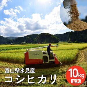 yӂ邳Ɣ[Łzs\ ߘa7NY xRXY RVqJ  E ނ Iׂ 5kg or 10kg    2025N10{ȍ~ | xR Xs  Ђ